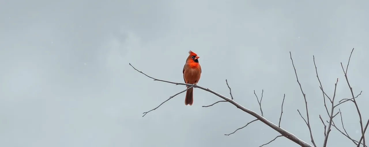 Illinois Halts West Nile Bird Testing Amid Rising Bird Flu Fears